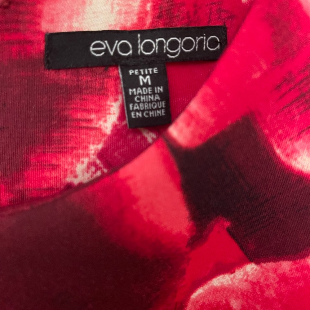 The Limited Eva Longoria Red and Black Patterned Sleeveless Fit and Flare Dress - Picture 10 of 17